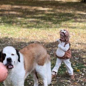 Brown and Cream Deer Costume - 2T